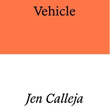 Vehicle book cover.jpg